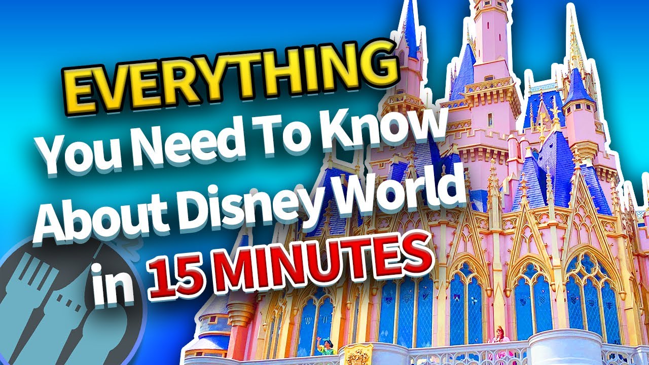 Everything You Need To Know About Disney World in 15 Minutes