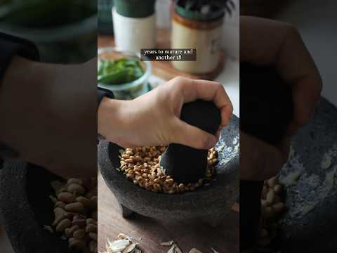 Where do pine nuts come from? #shorts #pinenuts #zerowastekitchen
