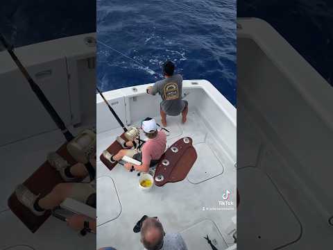 550lbs blue marlin caught off the coast of hawwaii **raw footage**