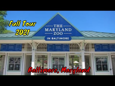 The Maryland Zoo in Baltimore Full Tour - Baltimore, Maryland
