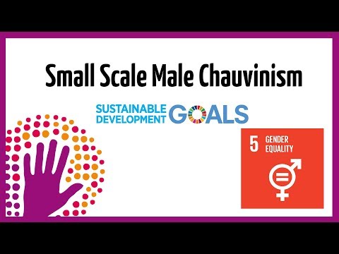 What Is Small Scale Male Chauvinism?