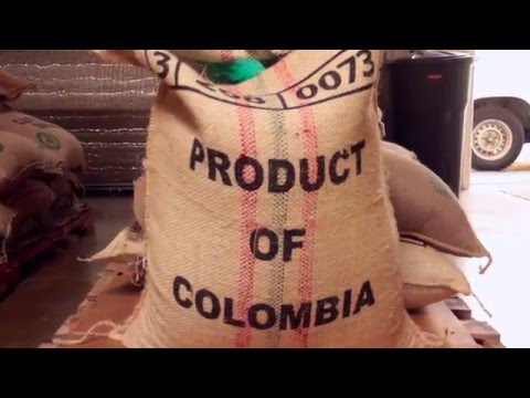 Lineage Coffee Roasting