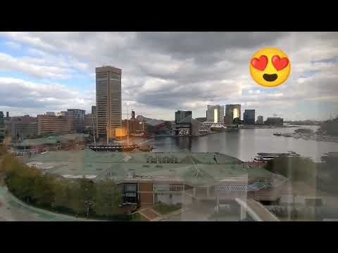Hyatt Regency Baltimore Inner Harbor [] Superior Harbor View Suite King [] Sofa sleeper [] Maryland
