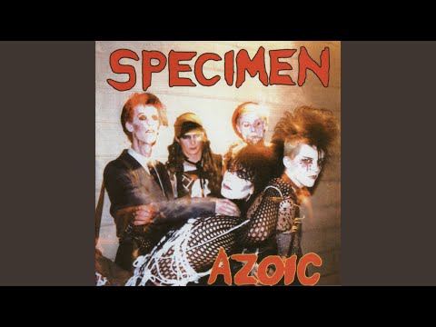 Kiss Kiss Bang Bang (12" Version)