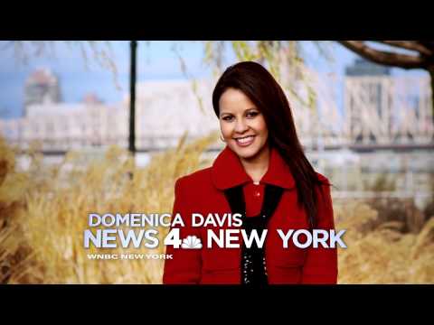 NBC News 4 New York Winter Weather - Domenica Davis 4