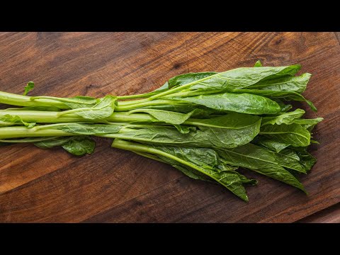 American Pokeweed: How to Cook Poke Salad Safely