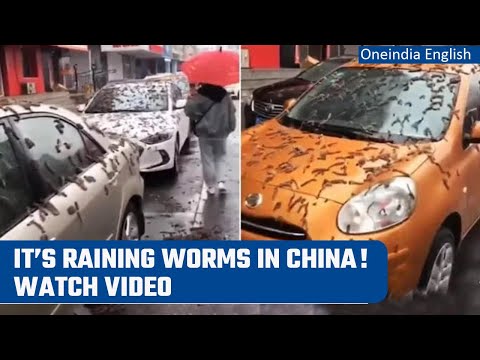 Beijing Flooded By ‘Rain Of Worms’; Residents Asked To Carry Umbrellas | Viral Video | Oneindia News