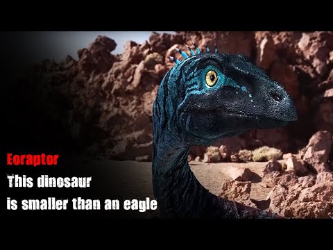''Eoraptor'' This dinosauris smaller than an eagle