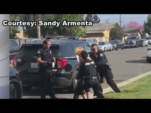 Westminster police officer seen punching woman during arrest in cell phone video