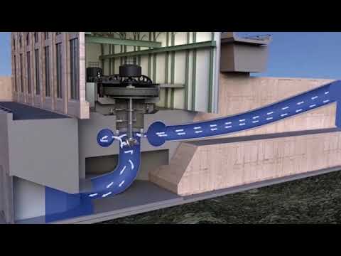 The Conowingo Dam